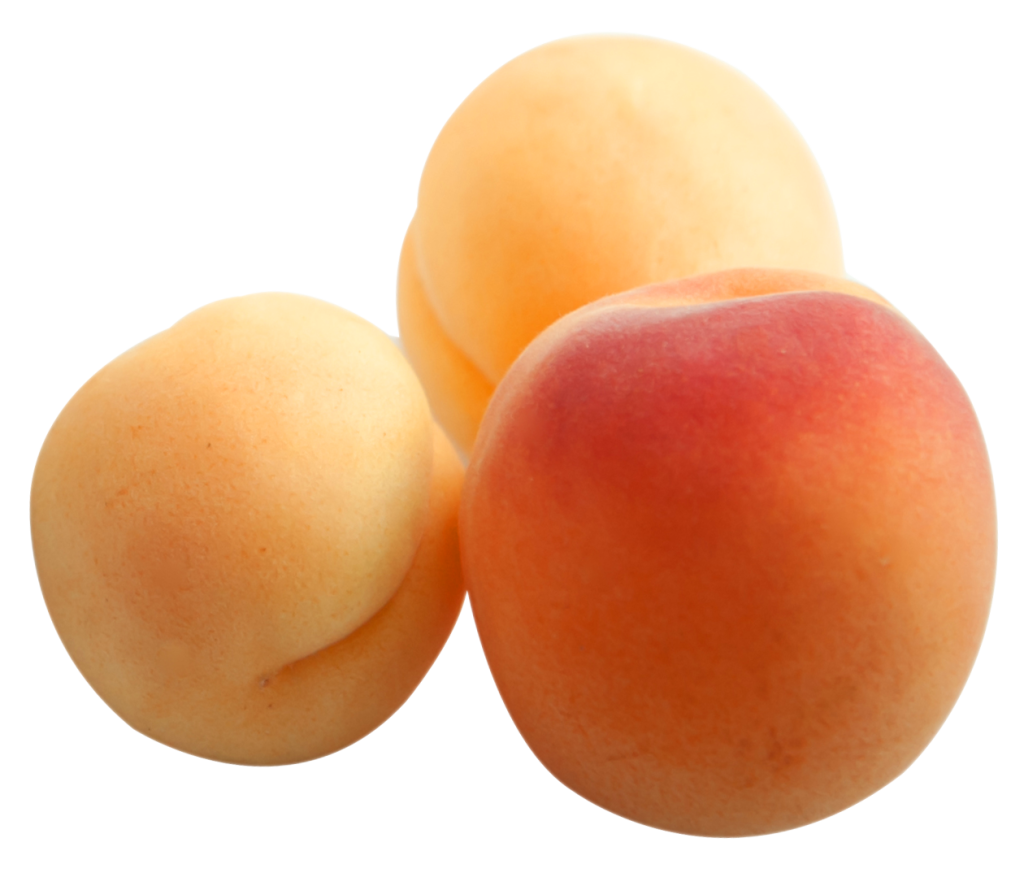 Apricots in Closeup PNG image