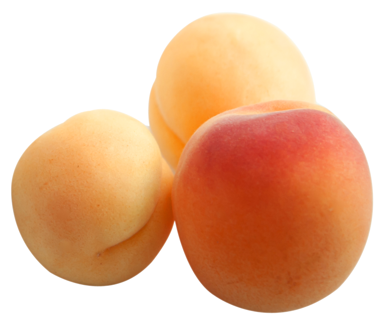 Apricots in Closeup PNG image