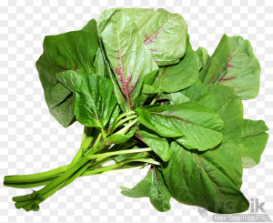 Amaranth-Leaves-PNG-image-2