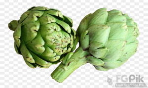 Artichoke-PNG-Image-1