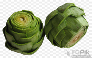 Artichoke-PNG-Image1-1