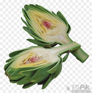 Artichoke-PNG-Image2