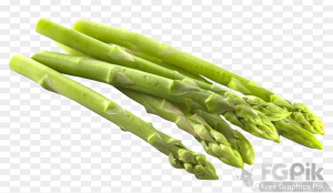 Asparagus-PNG-Image-1