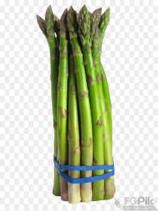 Asparagus-PNG-Image-2