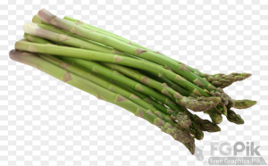 Asparagus-PNG-Image