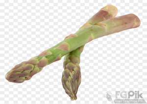 Asparagus-PNG-Image1-1
