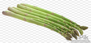 Asparagus-PNG-Image1