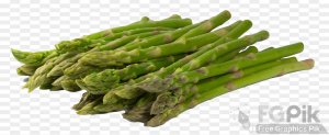 Asparagus-PNG-Image2-1