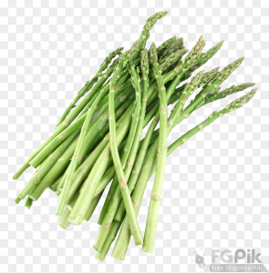 Asparagus-PNG-Image2