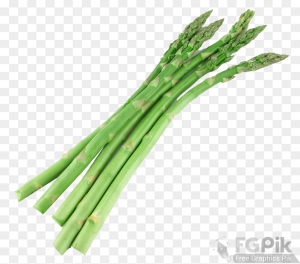 Asparagus-PNG-Image3