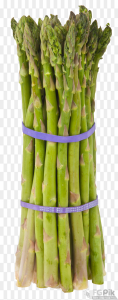Asparagus-PNG-Image4