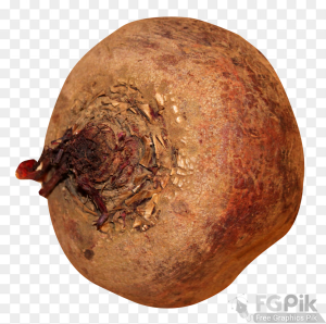 Beatroot-PNG-Image