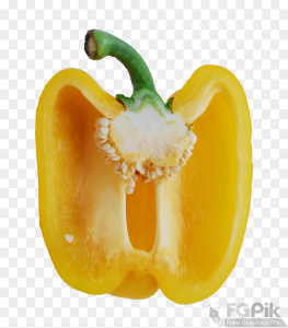 Bell-Pepper-Half-PNG-Image