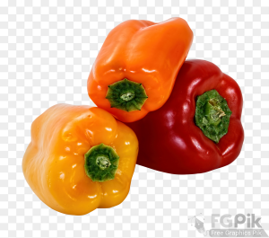 Bell-Pepper-PNG-Image