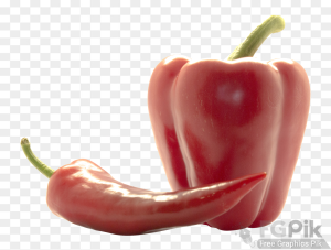 Bell-Peppers-PNG-Image1