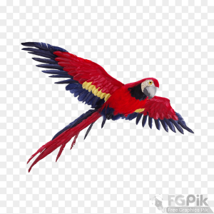 parrot- 5 _www.colorpngfile.com