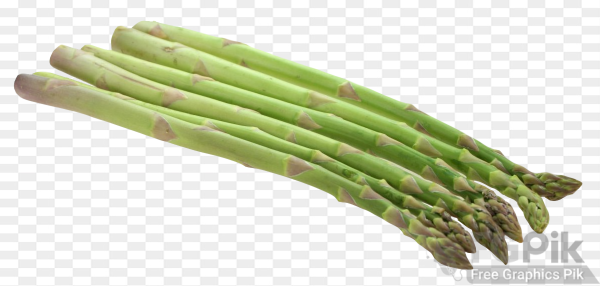 Asparagus-PNG-Image1