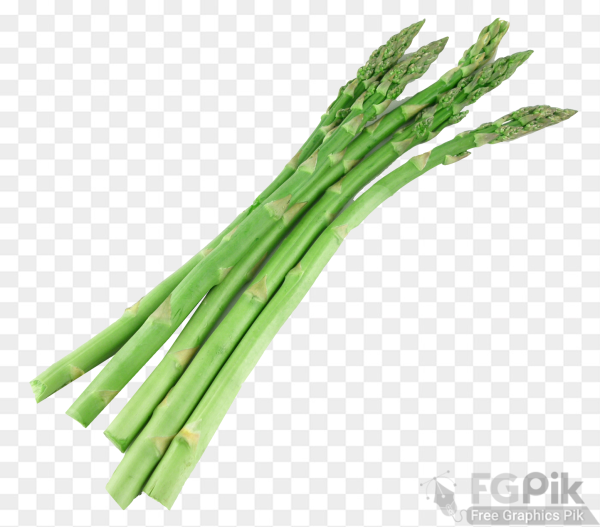 Asparagus-PNG-Image3