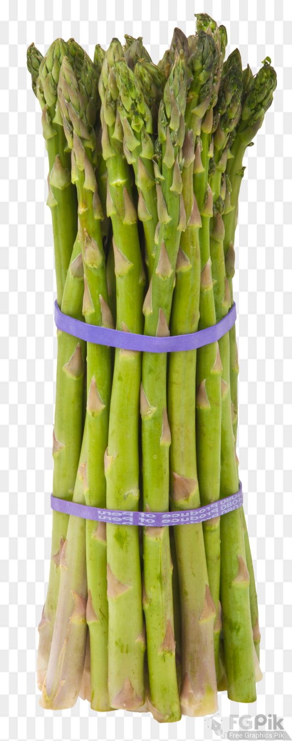 Asparagus-PNG-Image4