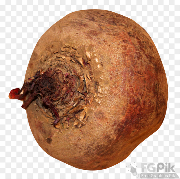 Beatroot-PNG-Image